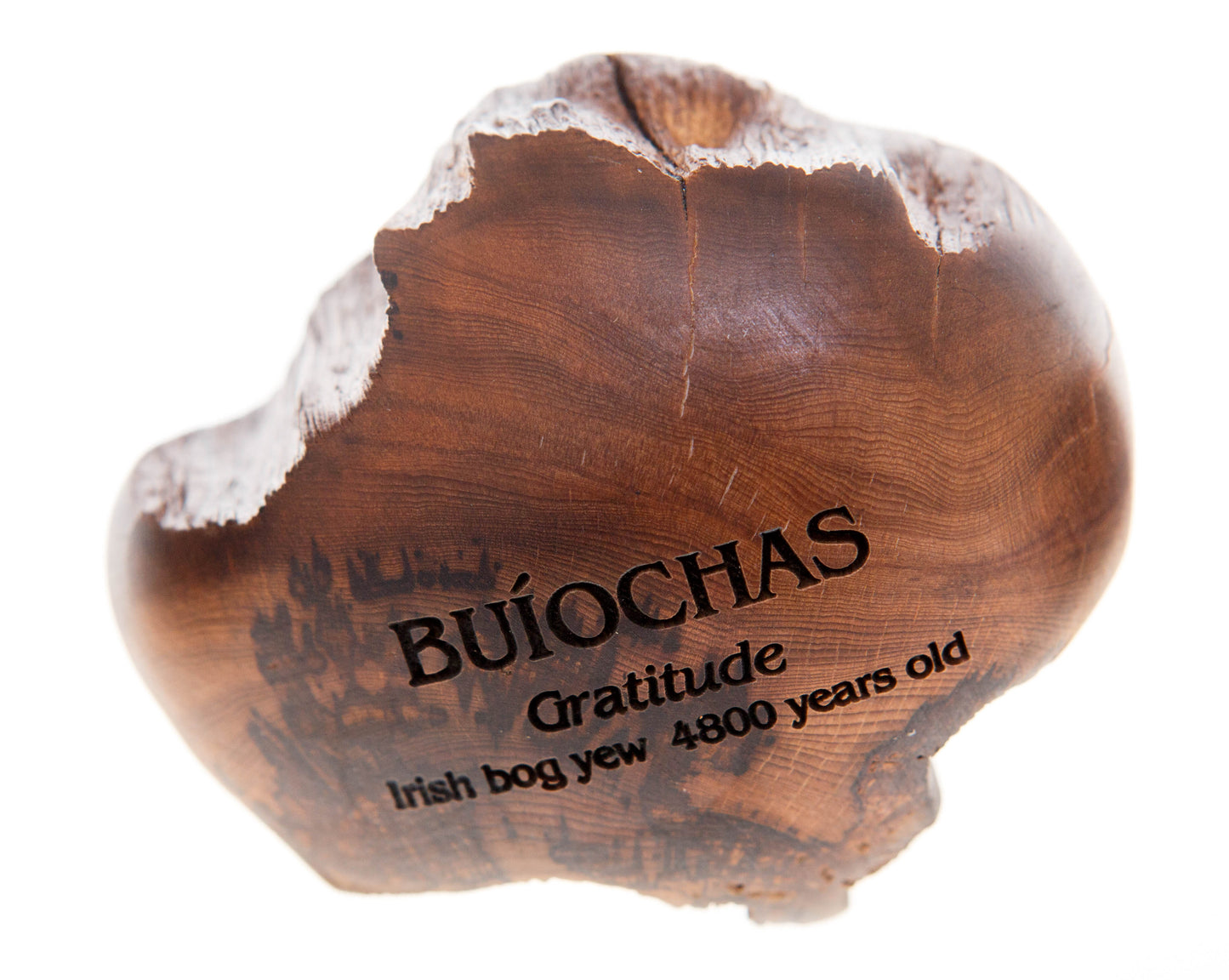 Wishstone BUÍOCHAS Gratitude Irish bog yew 4800 years old