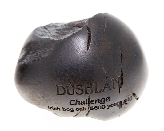 Wishstone DÚSHLÁN Challenge Irish bog oak 5600 ears old