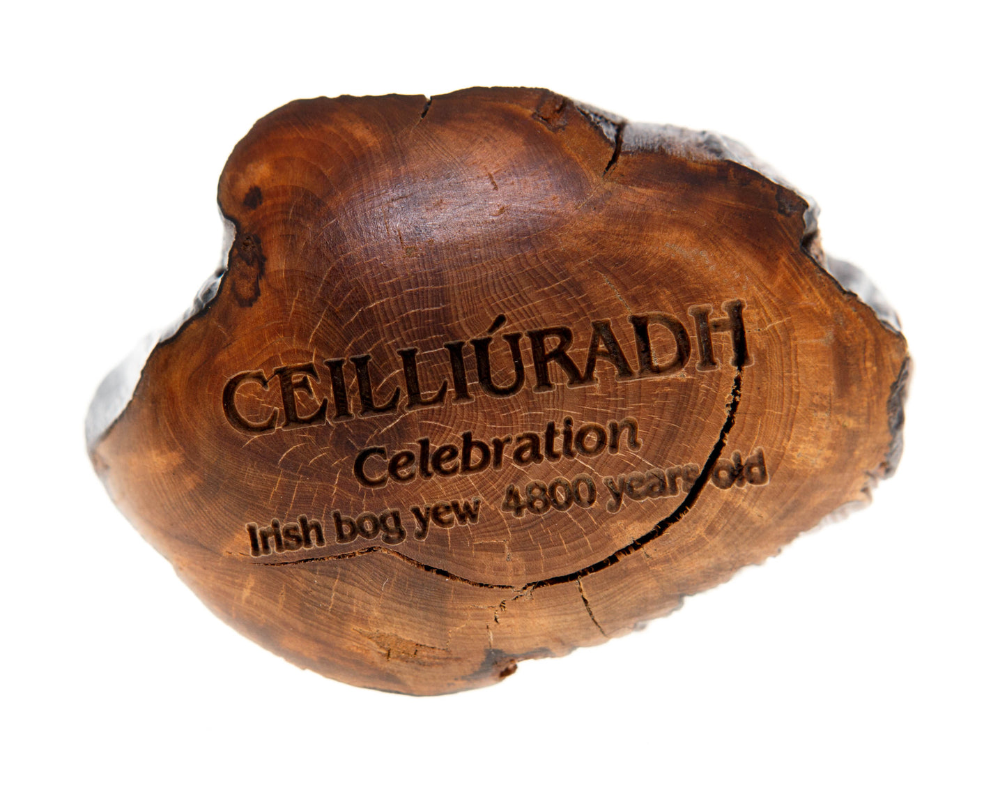 Wishstone CEILLIÚRADH Celebration Irish bog yew 4800 years old