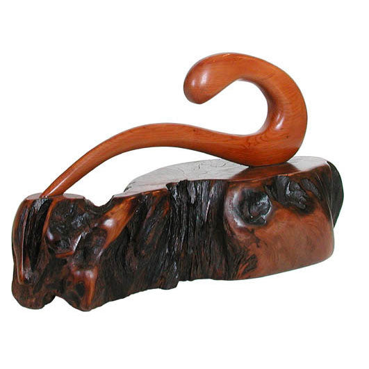 Tranquility Bog Yew - 16.5cm wide