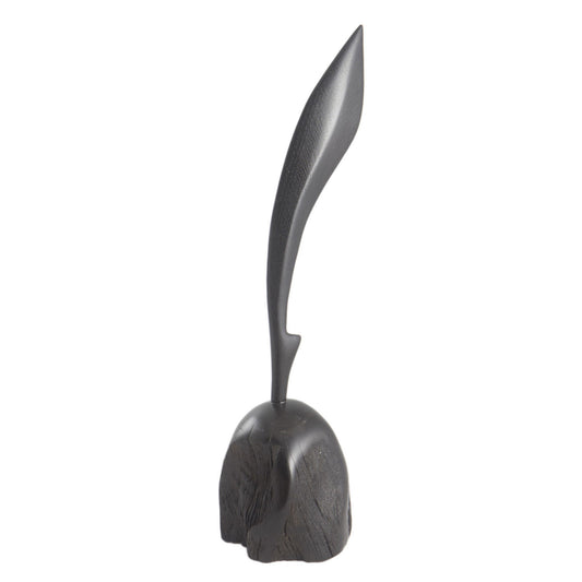 New Scholar The abstract quill 30 cm tall