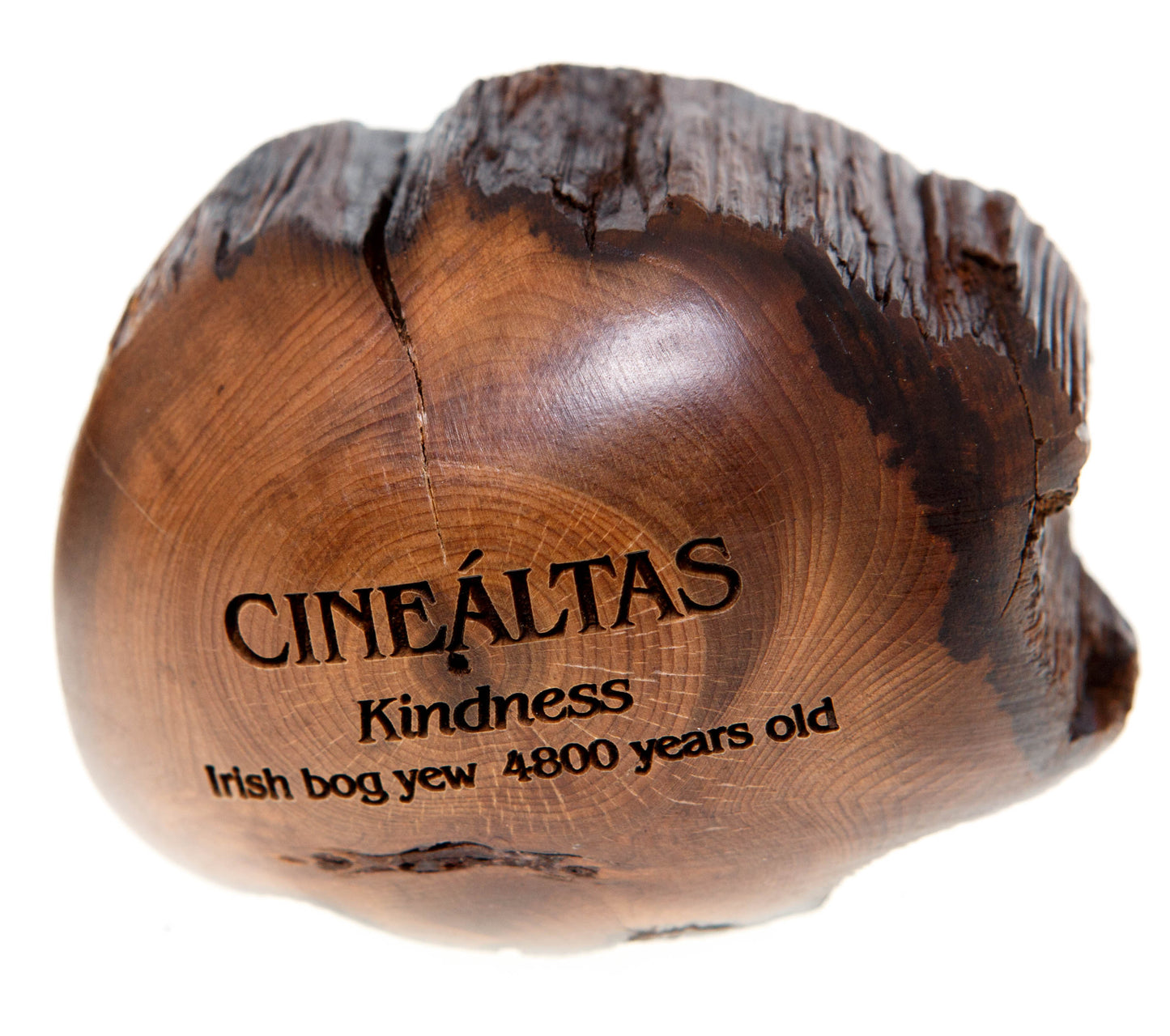 Wishstone CINEÁLTAS Kindness Irish bog yew 4800 years old