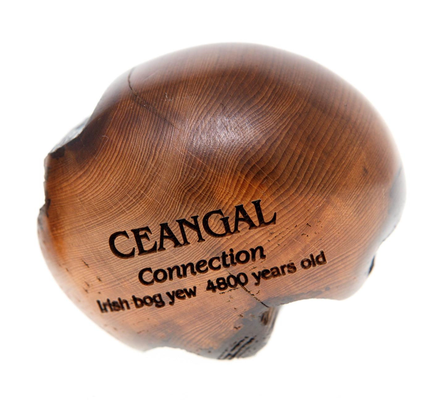 Wishstone CEANGAL Connection Irish bog yew 4800 years old