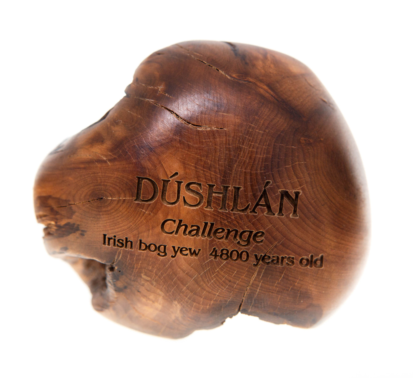 Wishstone DÚSHLAN Challenge Irish bog yew 4800 years old